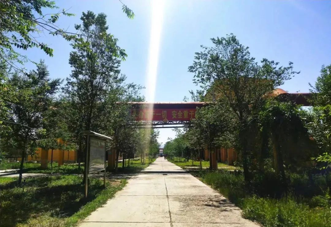 宝石花·有声 | 十年，我爱上了你——恒盛